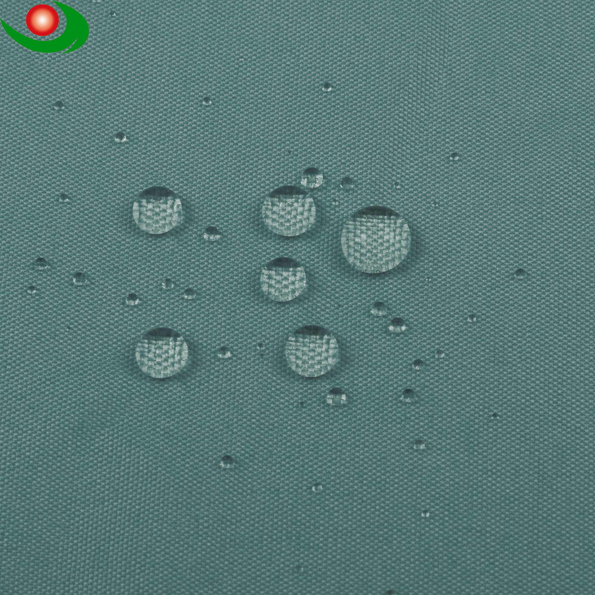 shower curtains (5).jpg